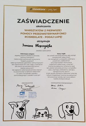CERTYFIKAT 2